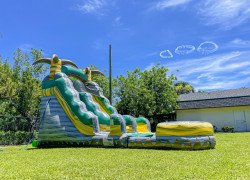 Desert Oasis Water Slide with Pool