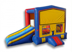 Multicolor Dry Combo 3 in 1